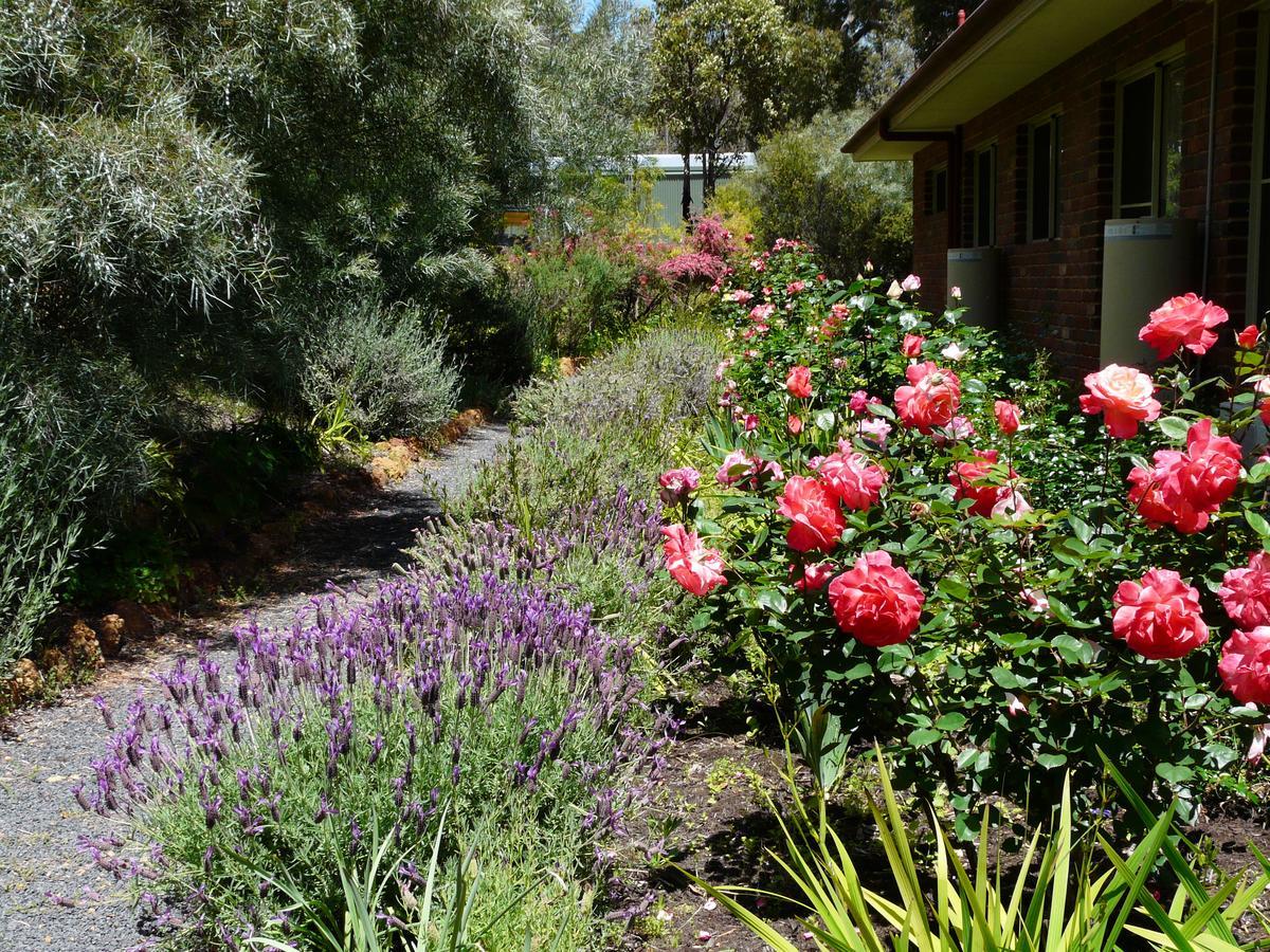 Country Charm Retreat B&B Donnybrook Exterior photo